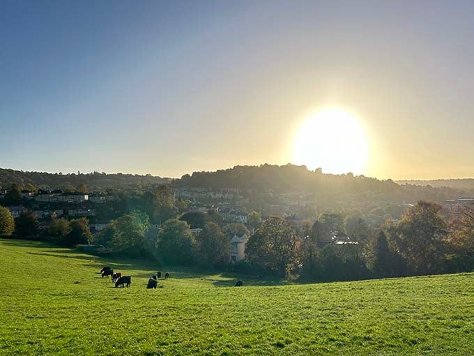 -Cows grazing by the sunset skyline- by Allison He [Postcard Perfect #3]