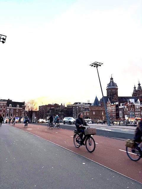 Biking through the City - Anna Lee